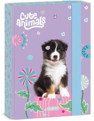 Ars Una A/5 füzetbox Ars Una Cute animals Aussie kutyás (50865284)