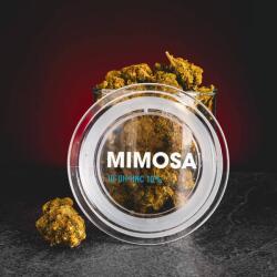 Kratom World Virágok Mimosa 10-OH HHC 10% 2g