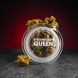 Kratom World CBD Strawberry Queen 10% 2g (CBD0031)