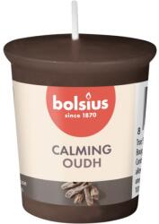 Bolsius Illatos Mintagyertya 45X53 Mm True Scents Oud Wood