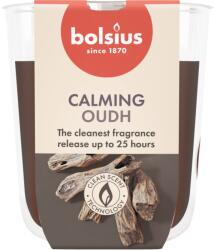 Bolsius Illatgyertya 73X80 Mm True Scents Oud Wood