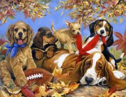 NORIMPEX - Puzzle Tablou Diamant: Câinii se joacă cu o minge. 30x40cm - 1 - 39 piese