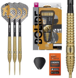 Target Darts szett steel Target SP Bolide Envy 03 - 22g, 90%