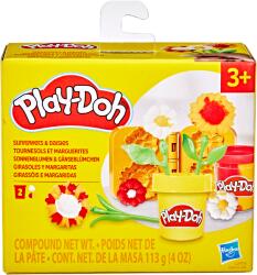 Hasbro Play-Doh Napraforgók és százszorszépek