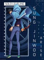 GB eye Posterul mini GB eye Animation: Solo Leveling - Jinwoo Arise (GBYDCOA025)