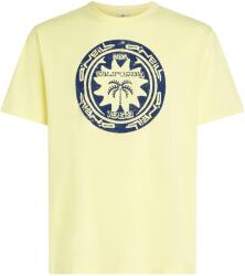 O'Neill Musthave Graphic (2850368-12030)