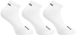 Head 3PACK HEAD alacsony zokni fehér (761010001 300) M