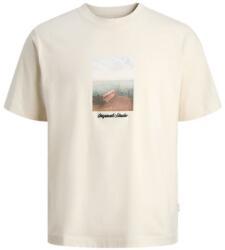JACK & JONES Norrebro Photo , Natur , L