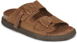D. Franklin Papuci de vară Femei VIBE SUEDE D. Franklin Maro 36