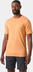 Helly Hansen Hh Tech Logo T-Shirt D