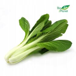  Pak Choi Káposzta Friss Bio (kb. 0, 25 kg) (5906750252810)