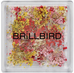 BrillBird - Floral Art mix - Sunrise