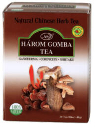 Big Star három gomba tea 20x2g 40 g - freefrom