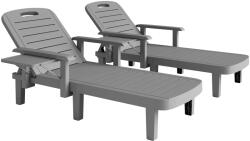 Outsunny Set 2 Șezlonguri cu Spătar Reglabil în 5 Poziții, Măsuță și Brațe Ergonomice, 79x158x88 cm, Gri | Aosom Romania (84G-789V01CG)