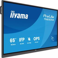 iiyama ProLite TN6505A-B1AG