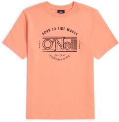 O'Neill Muir (4850129-12535)