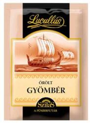 Lucullus őrölt gyömbér 20g - osszegyujto
