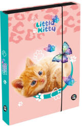 KARTON P+P Cicás füzetbox A/4, jumbo, OXY 2026 Cat (KPP-1-39526) - mesescuccok