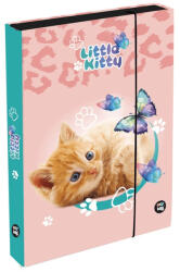 KARTON P+P Cicás füzetbox A/5, jumbo, OXY 2026 Cat (KPP-1-38026) - mesescuccok