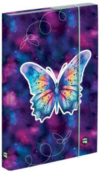 KARTON P+P Lepkés füzetbox A/4, OXY 2026 Butterfly (KPP-3-75625) - mesescuccok