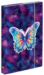 KARTON P+P Lepkés füzetbox A/5, OXY 2026 Butterfly (KPP-5-69025) - officetrade