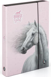 KARTON PP Lovas füzetbox A/4, jumbo, OXY 2026 Horse romantic (KPP-5-71026)