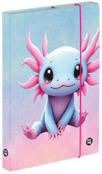KARTON P+P Axolotl füzetbox A/4, OXY 2026 (KPP-3-75426) - officetrade