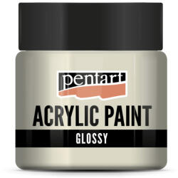  Fényes akrilfesték 50 ml esőfelhő (2042)