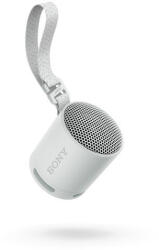 Sony SRS-XB100H