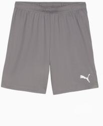 PUMA Pantaloni scurți Puma teamGOAL - gri, s - masculin (70575213) (70575213)