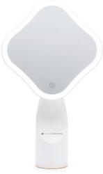 RIO Illuminated full size beauty mirror