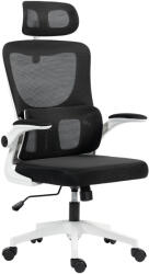 Vinsetto Scaun de Birou Ergonomic cu Tetieră Detașabilă Negru | Aosom Romania (921-673V00BK)