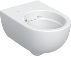 Geberit Selnova fali WC 36x33x53 cm, fehér, Rimfree (GE-502.035.00.1)