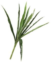  Selyemvirág Dracaena 147cm zöld (356085)