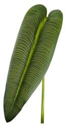  Selyemvirág Anthurium levél 81cm zöld (24C212)
