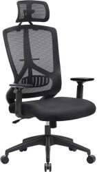 Brius Scaun de birou ergonomic cu tetiera si suport lombar, reglabil, mecanism balans, maxim 120 kg, 70x70x133 cm, negru (EZ-OBN53BK)