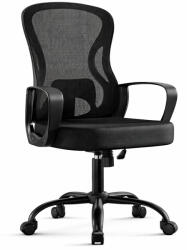 Brius Scaun de birou ergonomic, spatar mesh cu suport lombar, reglabil pe inaltime, baza metalica, 60x60x106 cm, negru (EZ-OBN043BH02)
