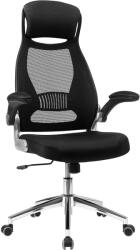 Brius Scaun de birou ergonomic cu tetiera si brate rabatabile, spatar mesh, maxim 120 kg, 68x116-126 cm, negru (EZ-OBN86BK)