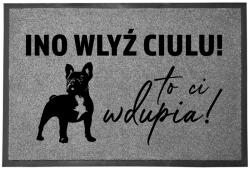 TabPrint Szürke Bejárati Lábtörlő Otthondekorációs Ajándéknak, Dugj Fel A Seggedbe (WYCIERACZKA WLYŹ TO CI W DUPIA SZARA)