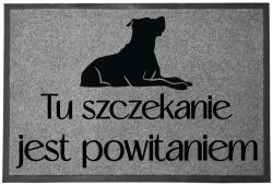TabPrint Lábtörlő Egyszínű 40X60 Ajándék Divatos Dekoráció Stílus Nyomtatás (WYCIERACZKA MONOCHROM MOCNA TRWAŁA STYL SZARA)
