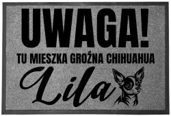 TabPrint Lábtörlő Bejárati Szürke 60X40 Veszélyes Kutya Chichuahua Kutya Neve (WYCIERACZKA SZARA Z IMIENIEMPSA PXX937)