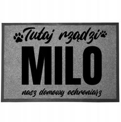 TabPrint Lábtörlő Bejárati Szürke Ajándék Kutyatartónak Kutyavédő (WYCIERACZKA SZARA Z IMIENIEMPSA PXX915)