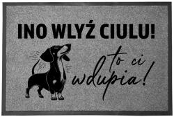 TabPrint Lábtörlő Bejárati Szürke Otthoni Dekoráció Ajándék Ino Bejön (WYCIERACZKA INO WLYŹ CIULU SZARA)