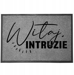 TabPrint Lábtörlő Bejárati Szürke Otthoni Dekoráció Ajándék Üdv Betolakodók (WYCIERACZKA WITAJ INTRUZIE SZARA)