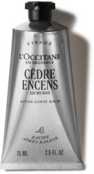 L'Occitane Ingrijire Barbati Men Baux After Shave 75 g