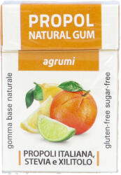  Propoliszos Rágógumi (Propolgum), cukormentes, Citrusos - 25g (Kontak)