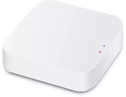 HomeVast PST-TYZBG-01