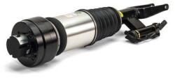Arnott Brat arc pneumatic Arnott AS-3000 (AS-3000)