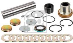 Febi Bilstein Set reparatie, pivot FEBI BILSTEIN 170122 (170122)