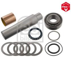 Febi Bilstein Set reparatie, pivot FEBI BILSTEIN 05016 (05016)